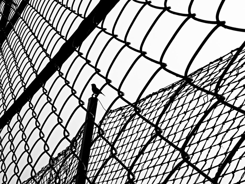 Photograph by Mohammed Rifatul Alam Siam