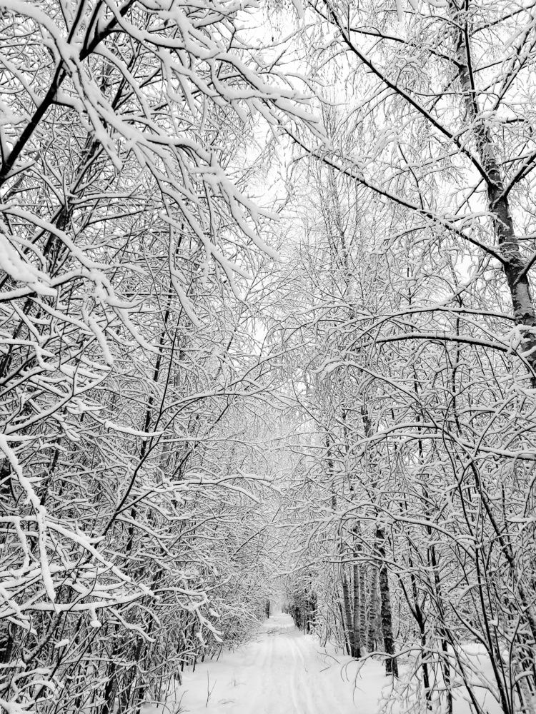 Photograph by Ксения Цветкова