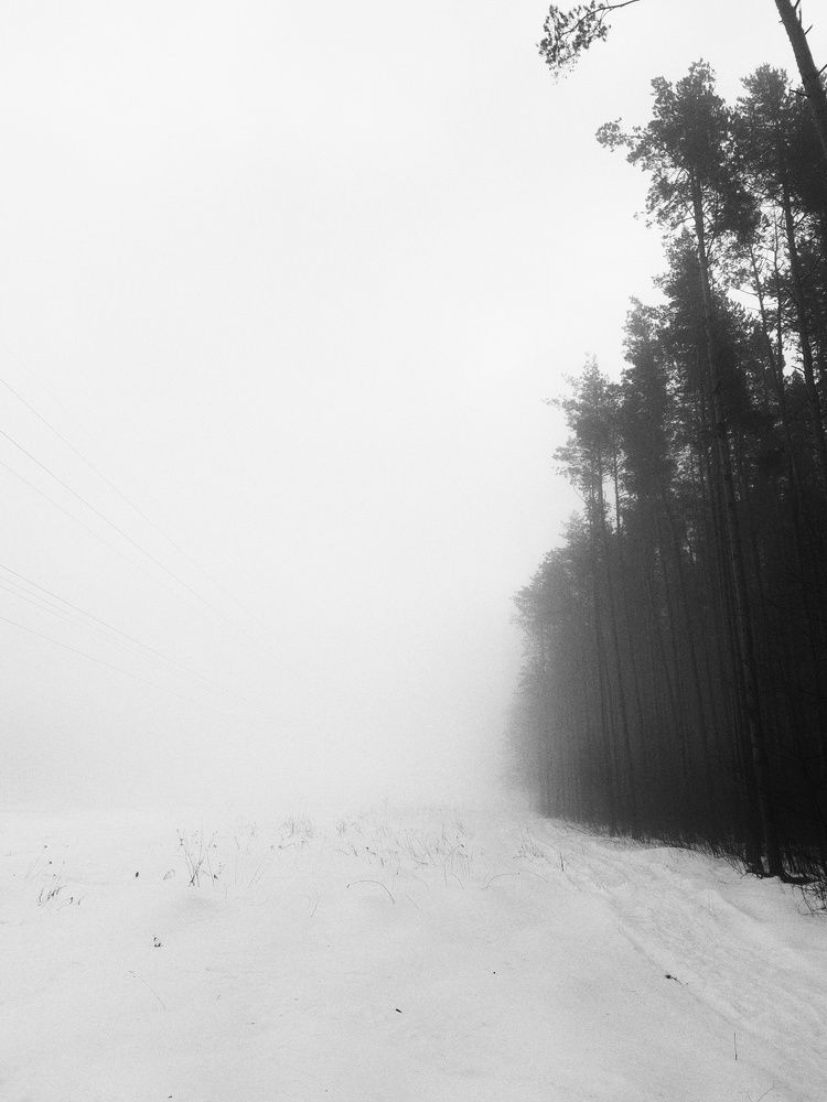 Photograph by Ксения Цветкова