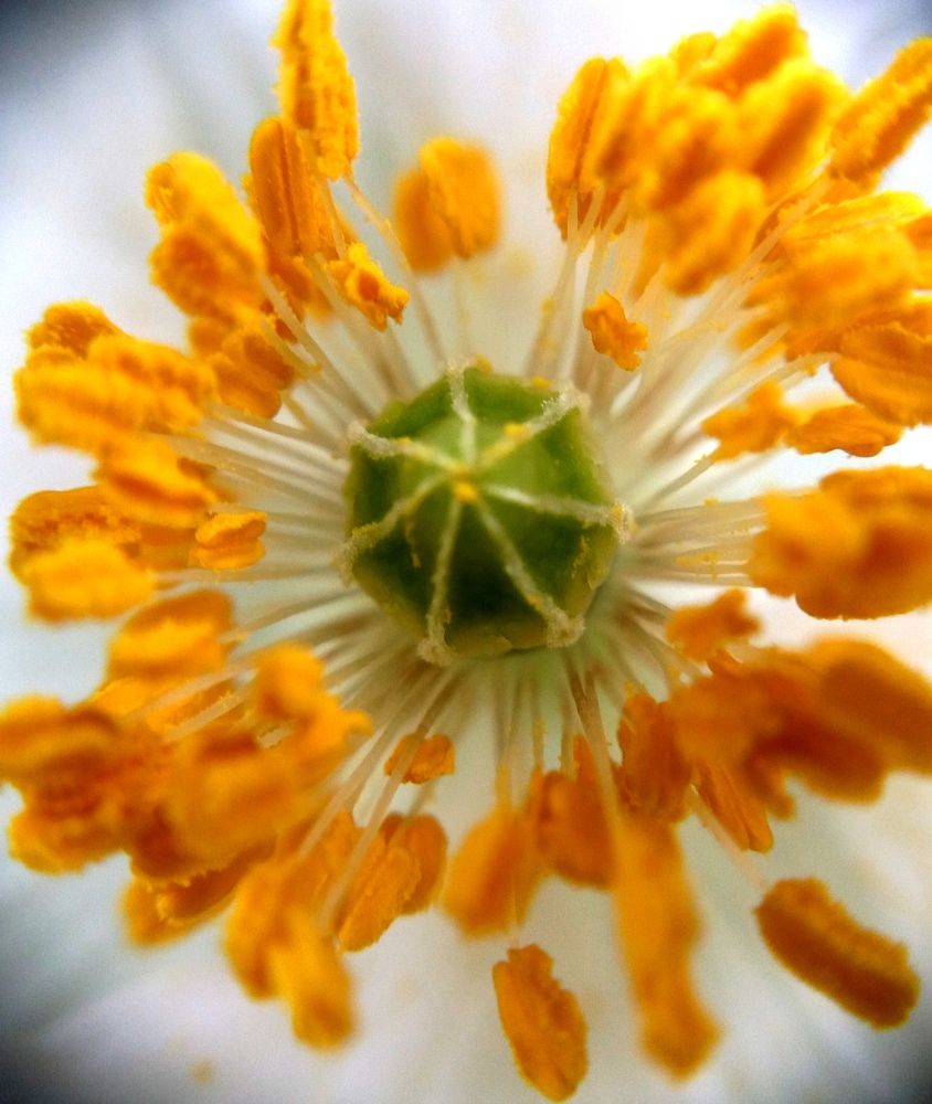 Photograph by Kapil Singh