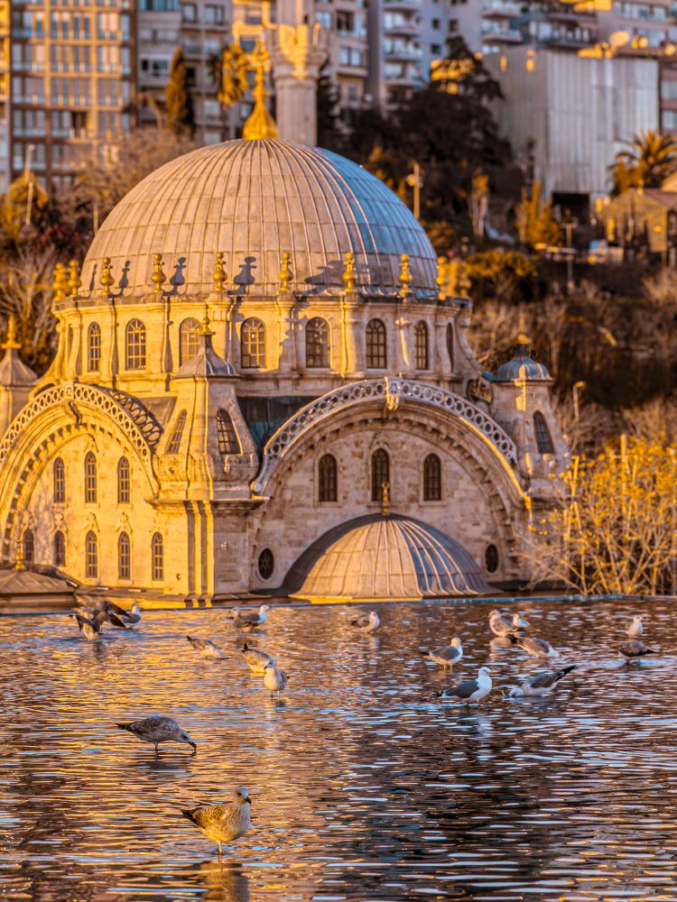 Photograph by Moni M