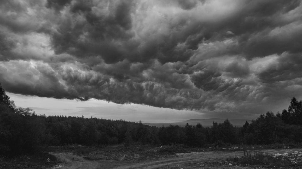 Photograph by Олег Бережных