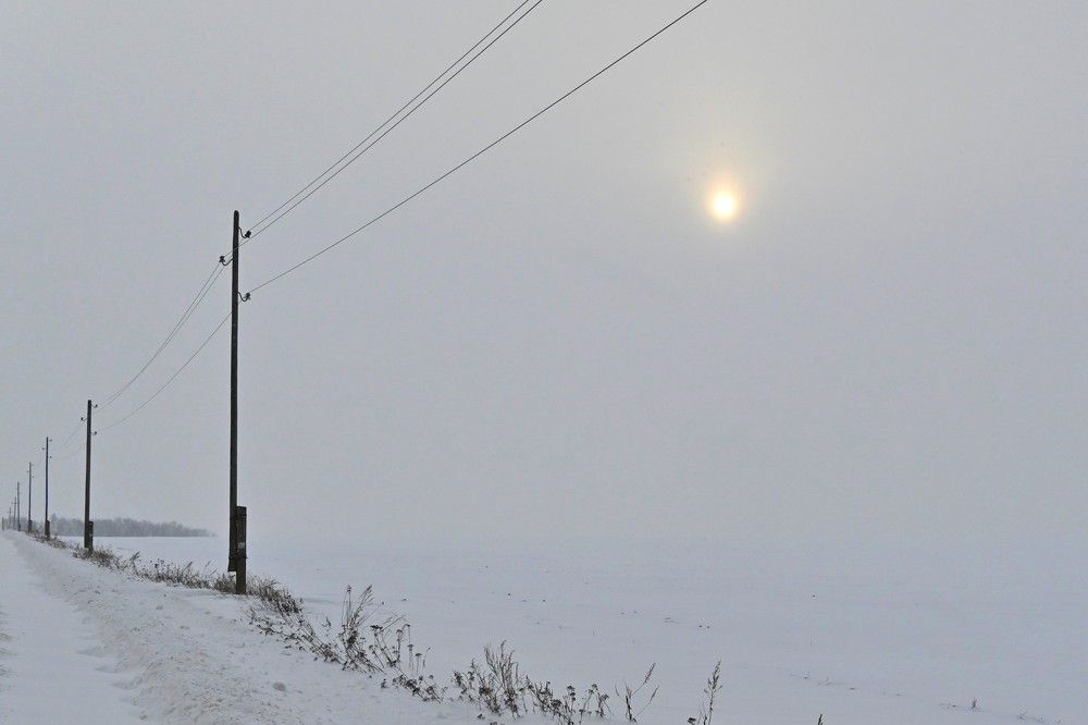 Фотография автора IRINA FILIPPOVA