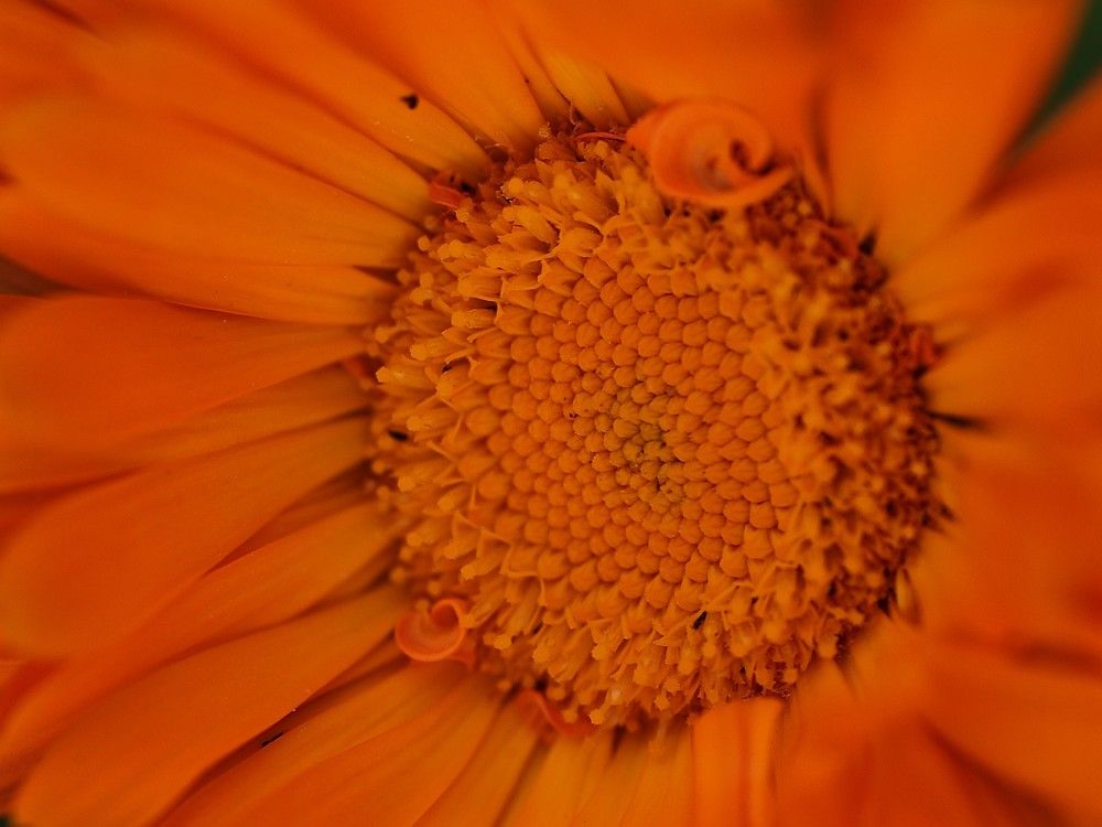 Photograph by Елена Одынец