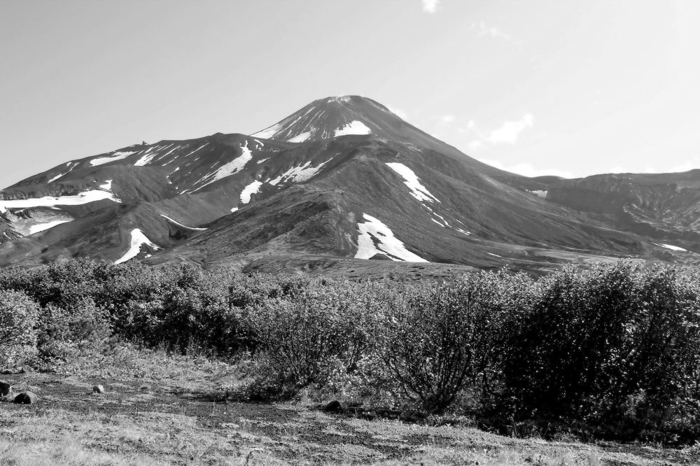 Photograph by Olga Bagaeva