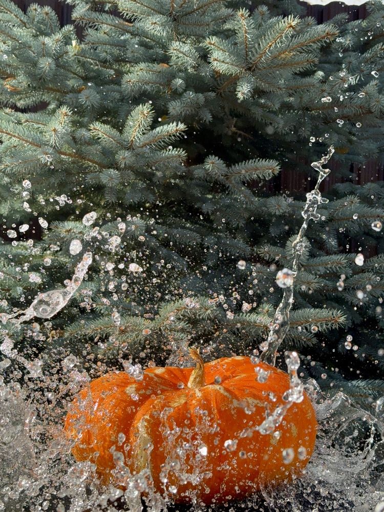 Photograph by Ксения Юртаева