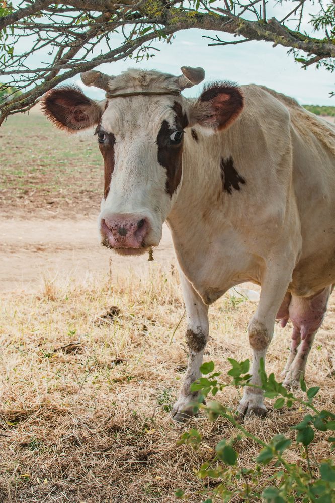 Photograph by Валентина Рябуха