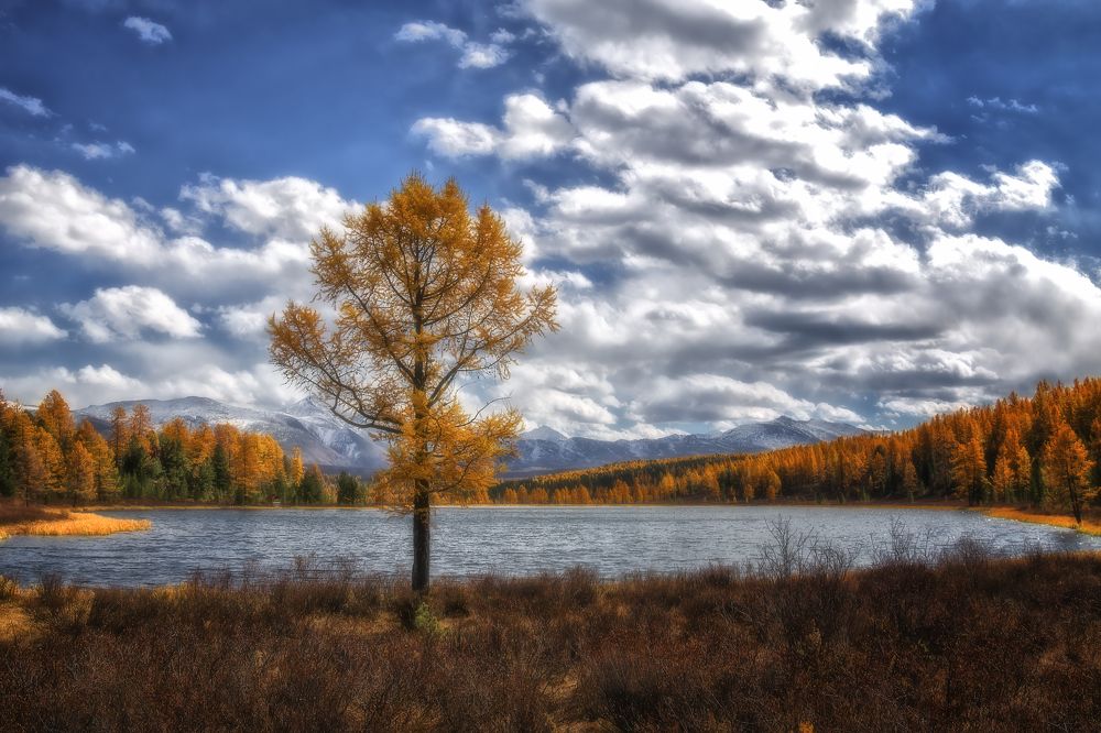 Фотография автора Марина Юдинских