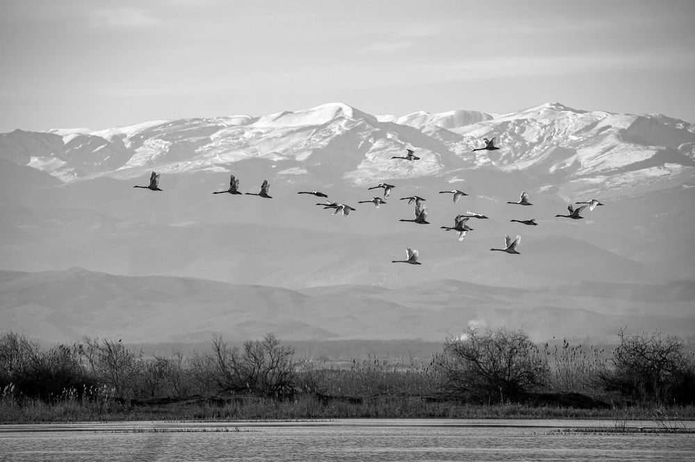 Photograph by Александр Щербаков