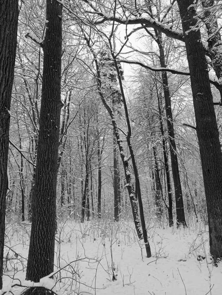 Photograph by Татьяна Кунц