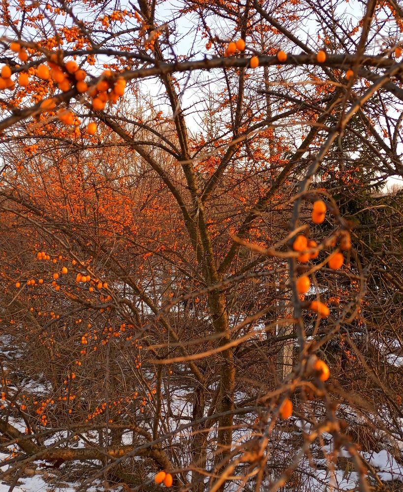 Photograph by Татьяна Кунц