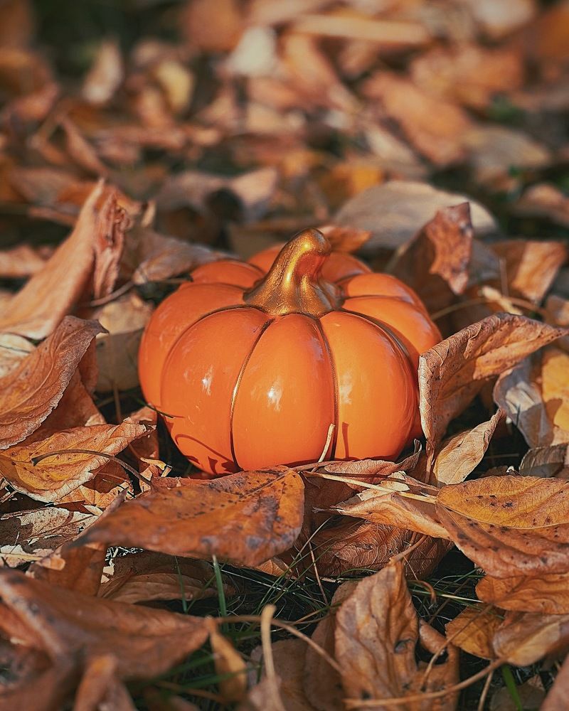 Photograph by Татьяна Волохова