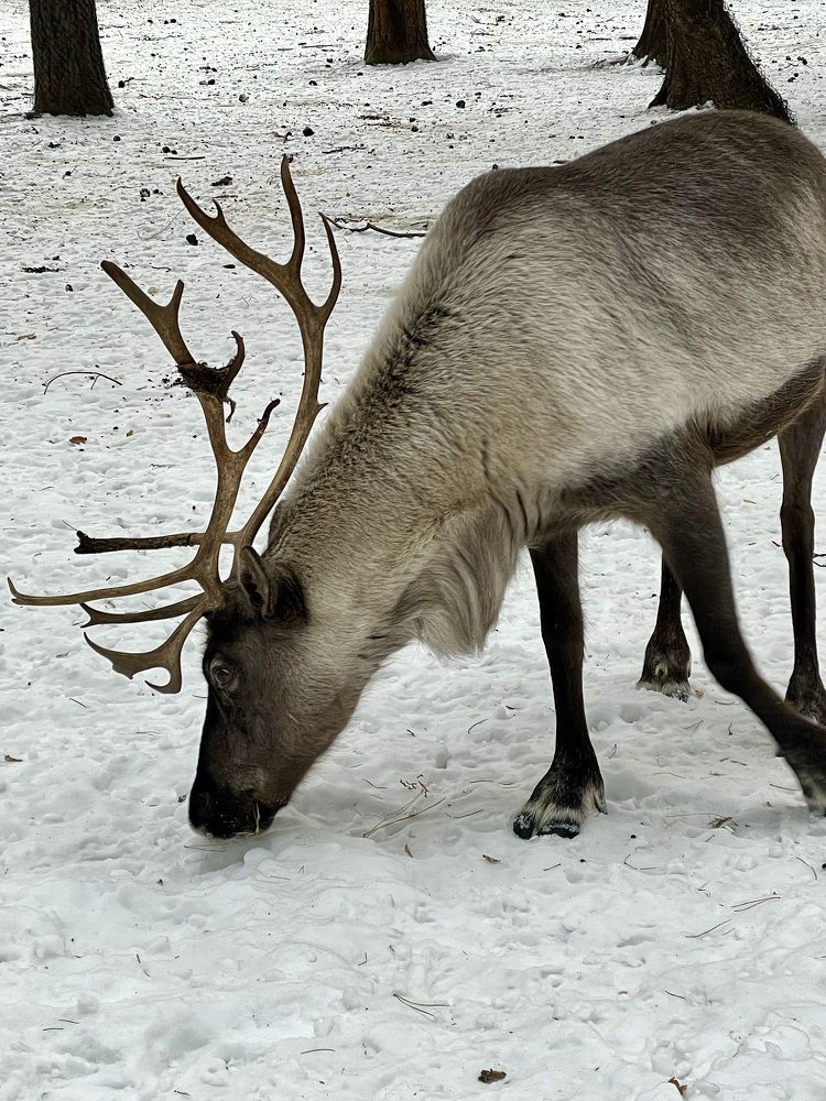 Фотография автора Nadezhda