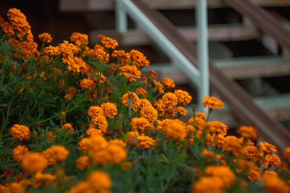 Photograph by Наталья Веряскина