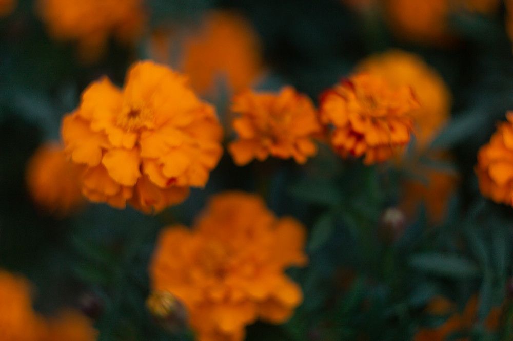 Photograph by Наталья Веряскина