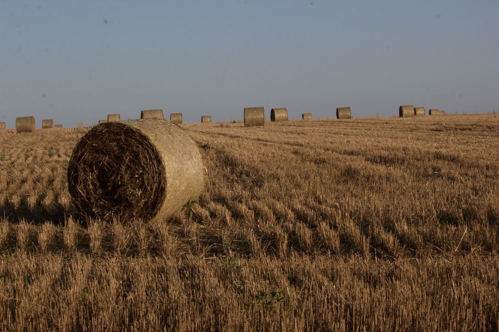 Photograph by Лариса Белашова