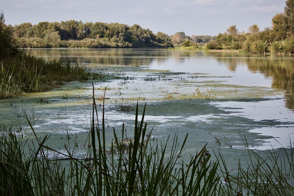 Photograph by Лариса Белашова