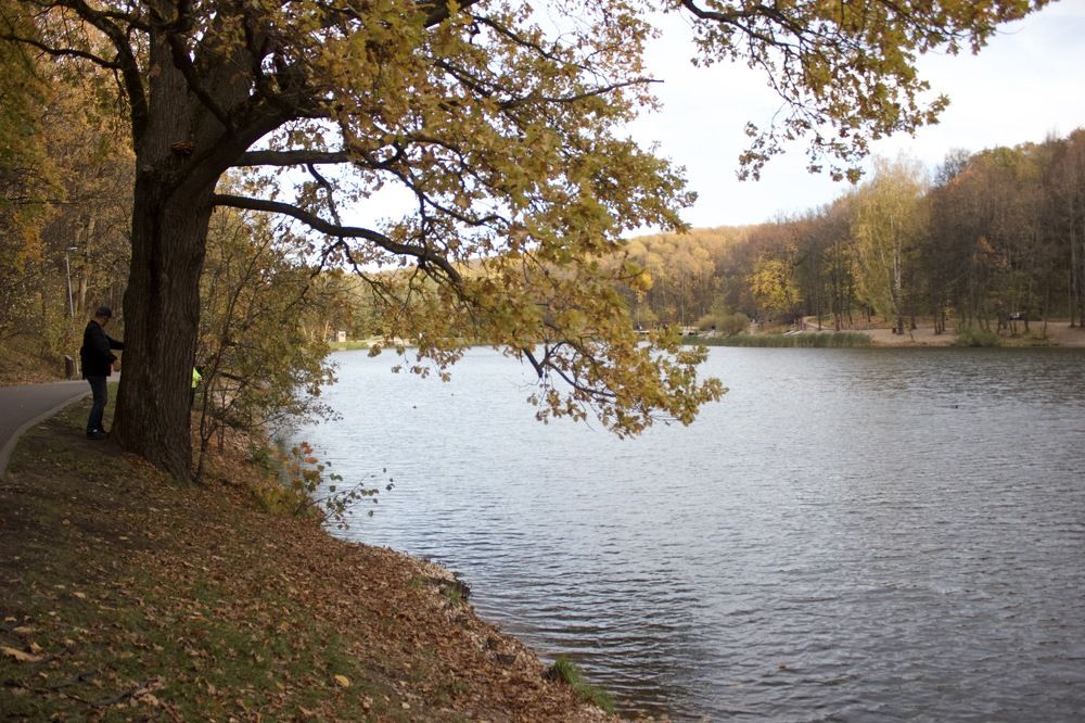 Photograph by Лариса Белашова