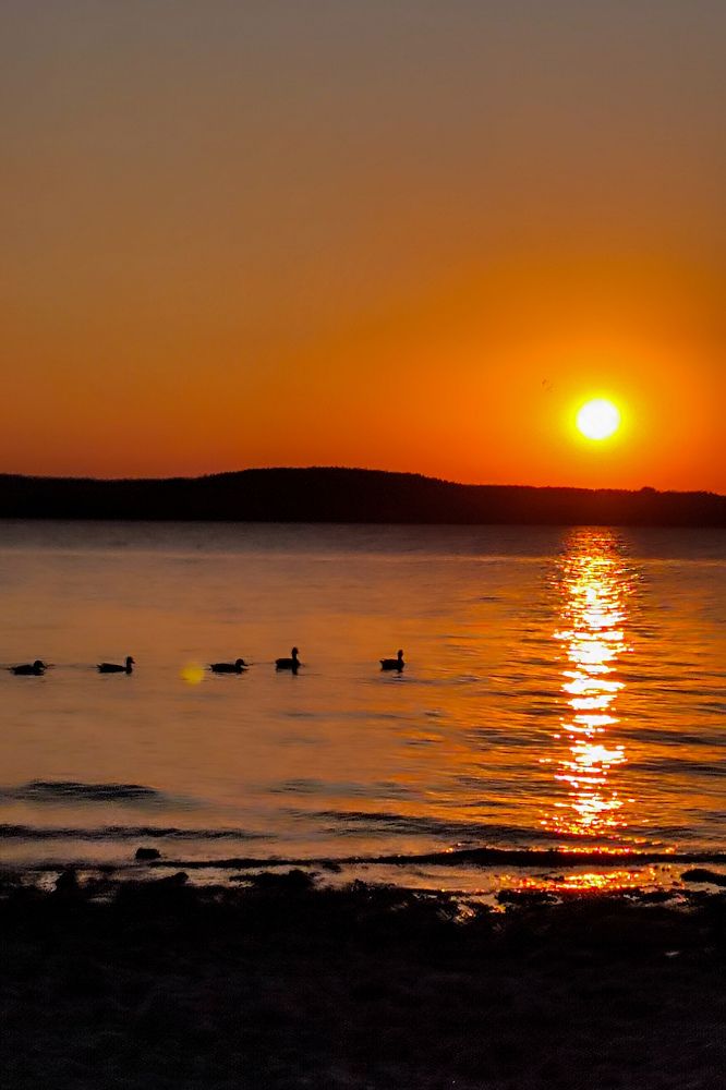 Photograph by Evgenia Korchagova