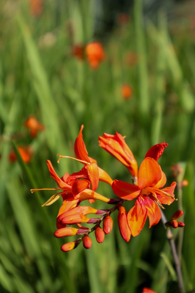 Photograph by Evgenia Korchagova