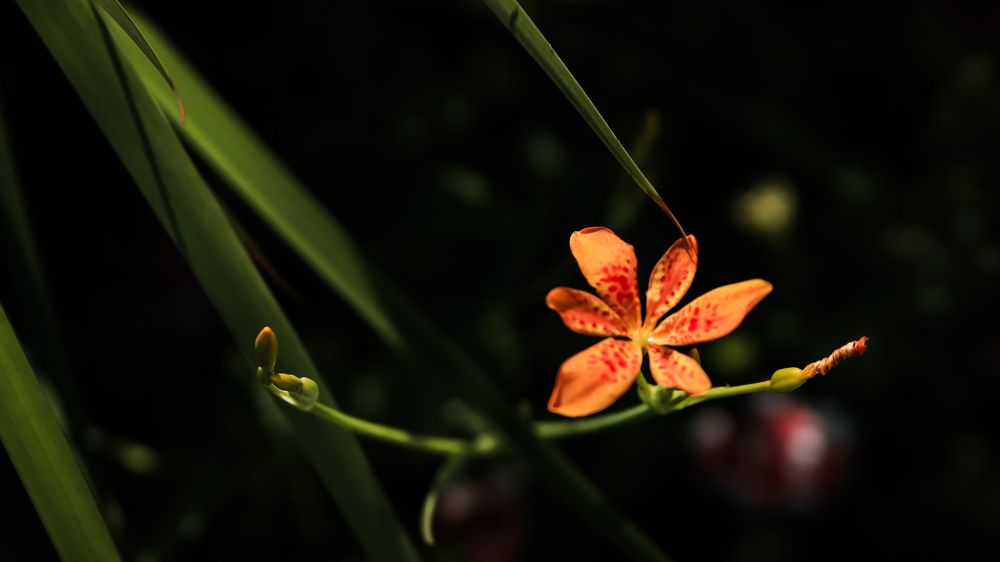 Photograph by Ксения Моськина