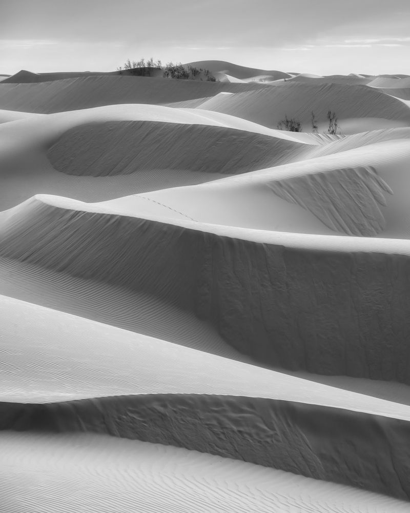 Photograph by Василий Яковлев