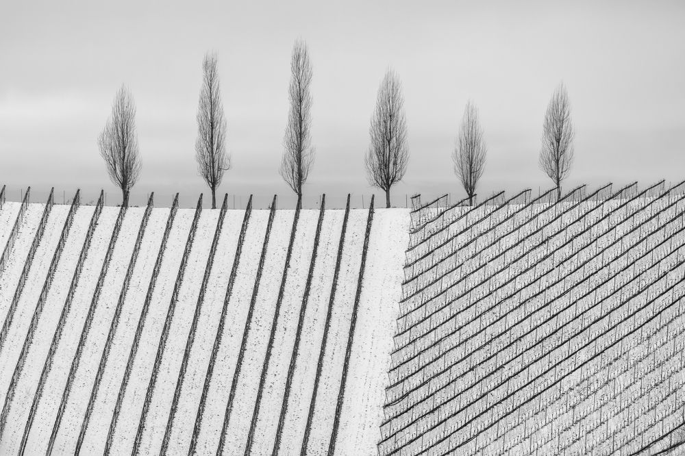 Photograph by Василий Яковлев