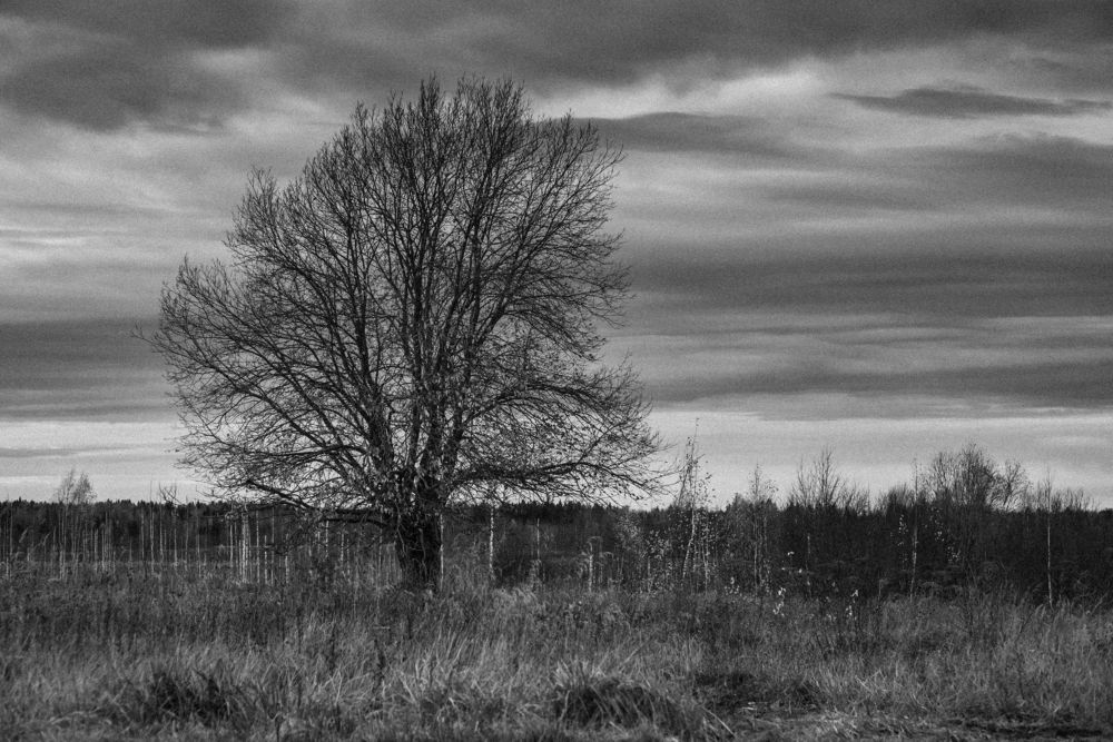 Photograph by Виталий Монахов