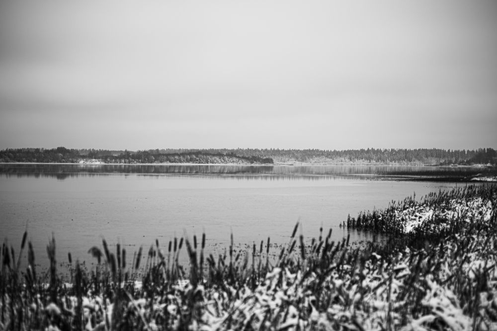 Photograph by Виталий Монахов