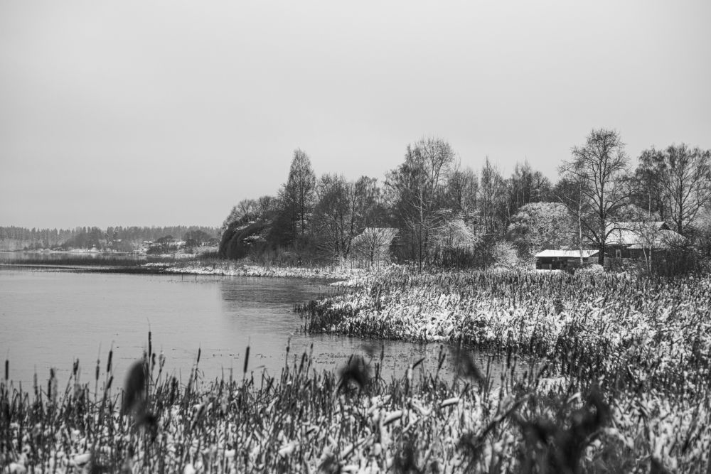 Photograph by Виталий Монахов