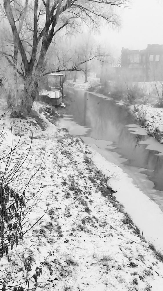 Photograph by Назмутдинова Сауия