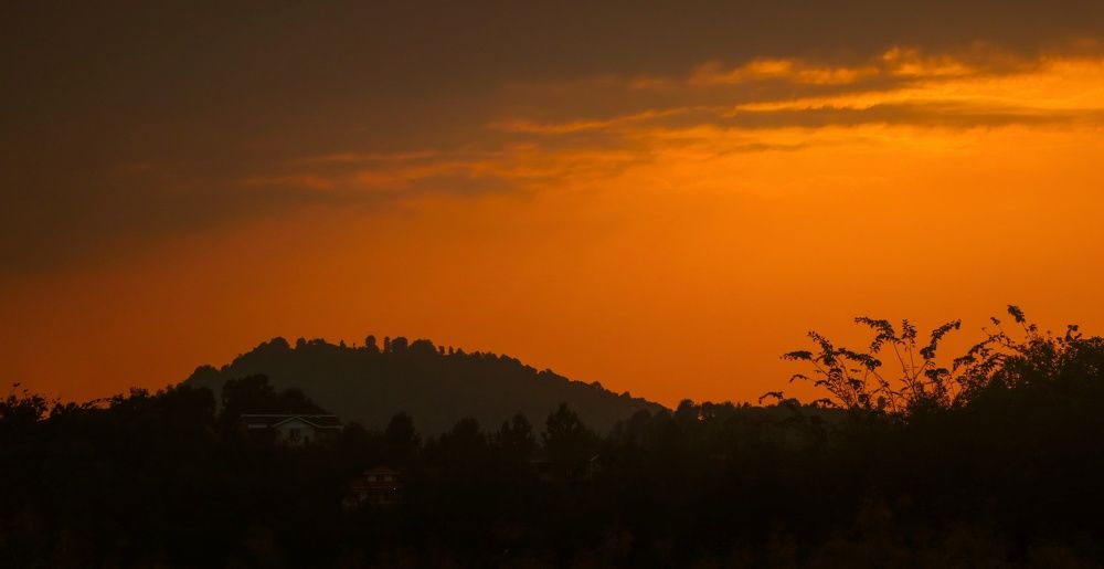 Фотография автора amir shafahi