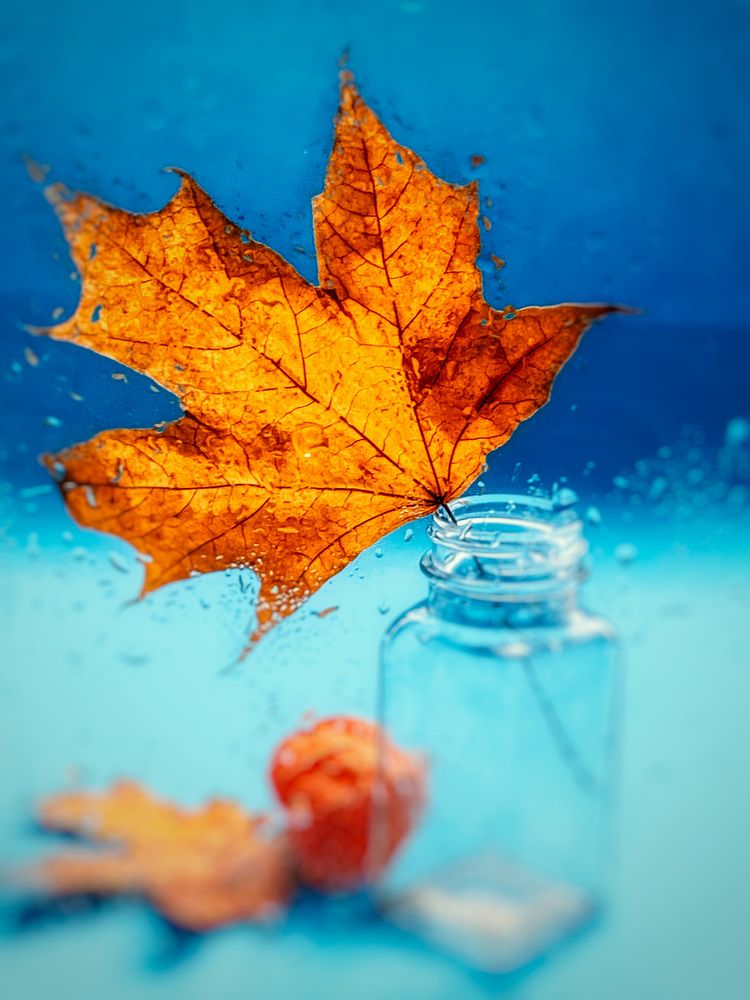 Photograph by Ольга Скиба