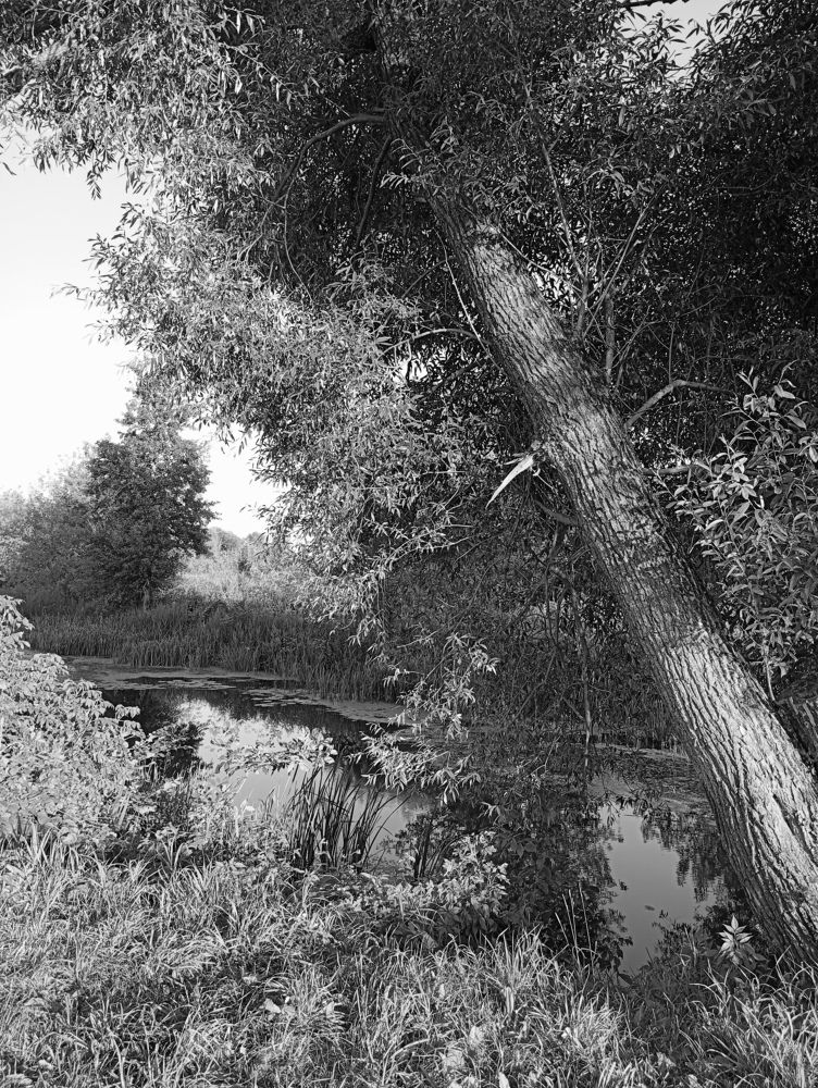 Photograph by Елена Коробченко