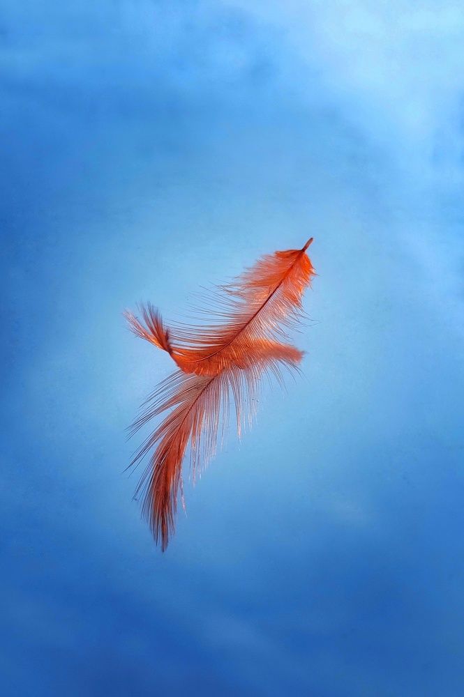 Photograph by Евгения Кинжакова