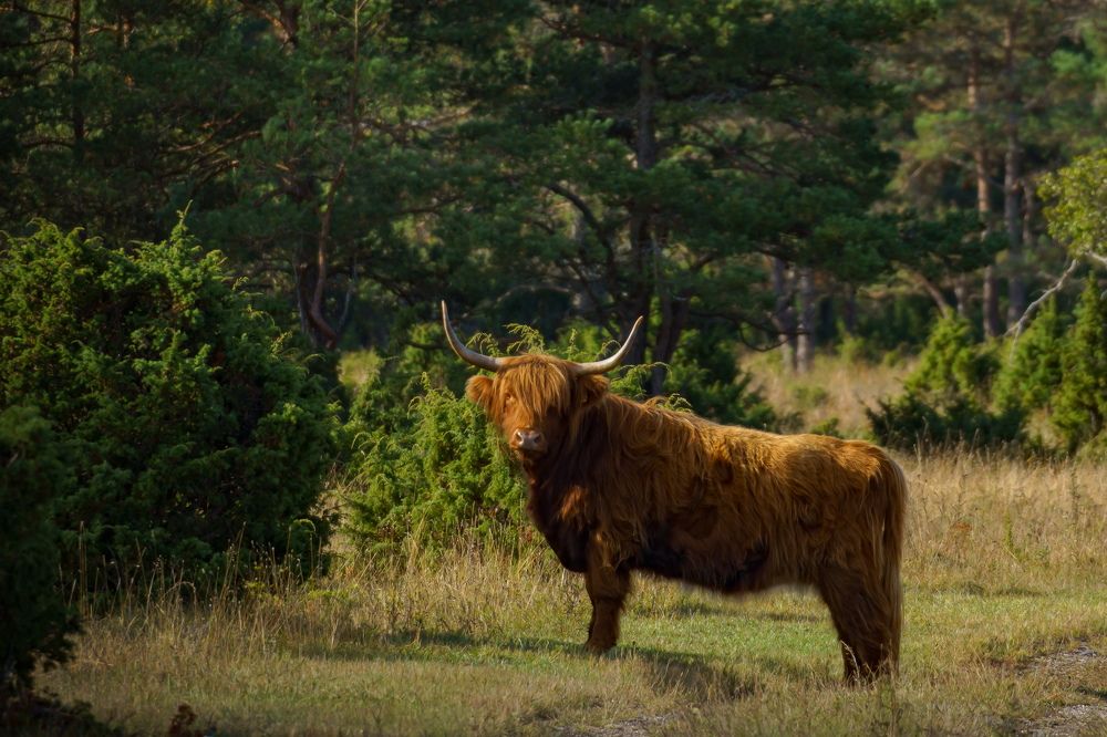 Photograph by Valdis Serzhans