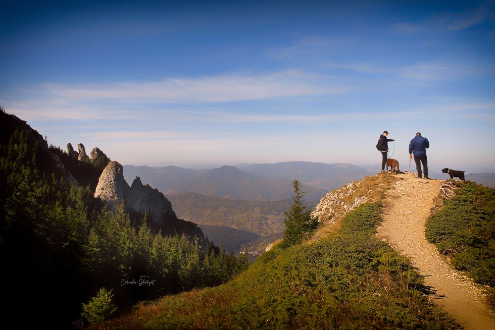 Фотография автора Cornelia Ghergut