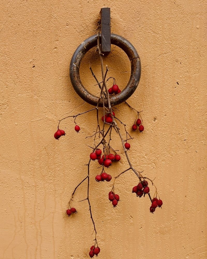 Photograph by Титаренко Людмила