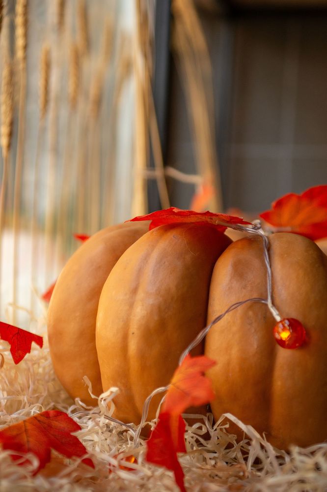 Photograph by Карина Кириченко