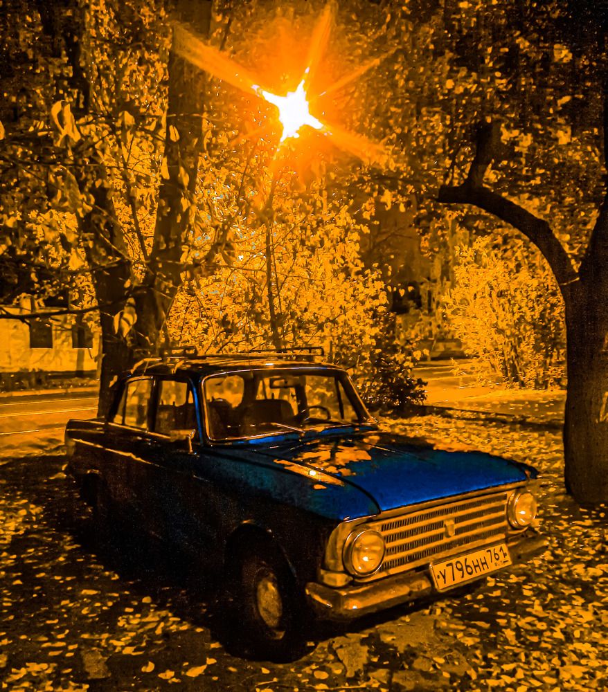 Фотография автора Дарья Новгородцева