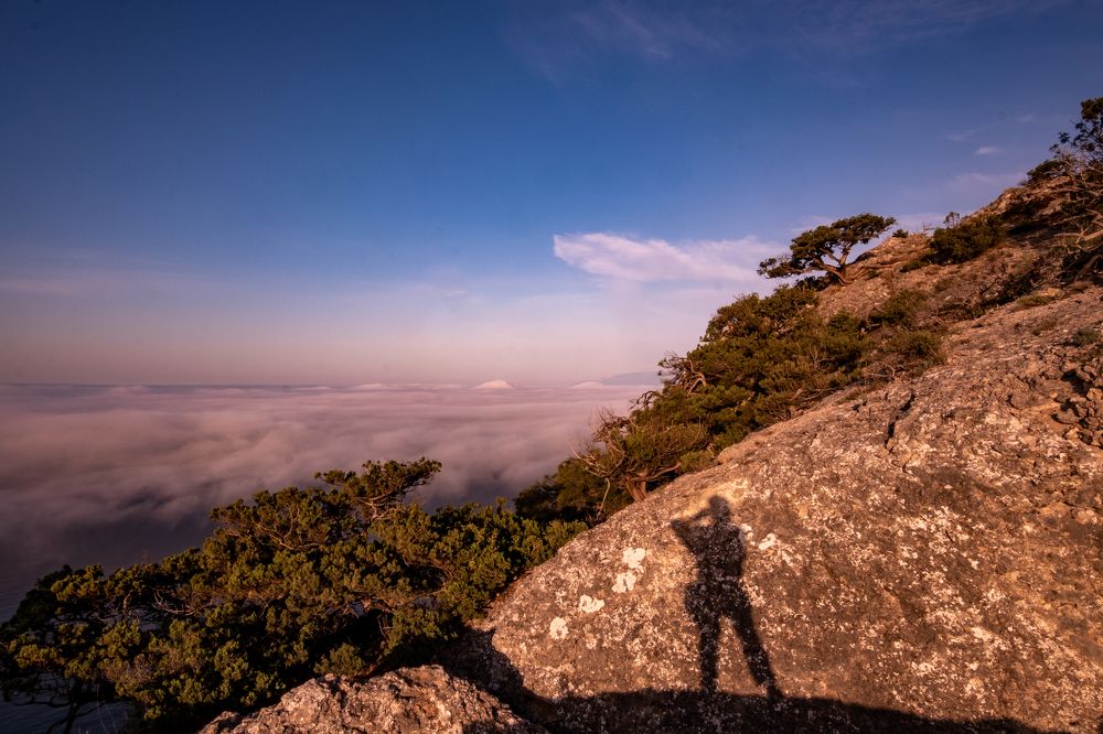 Photograph by Александр Разумов