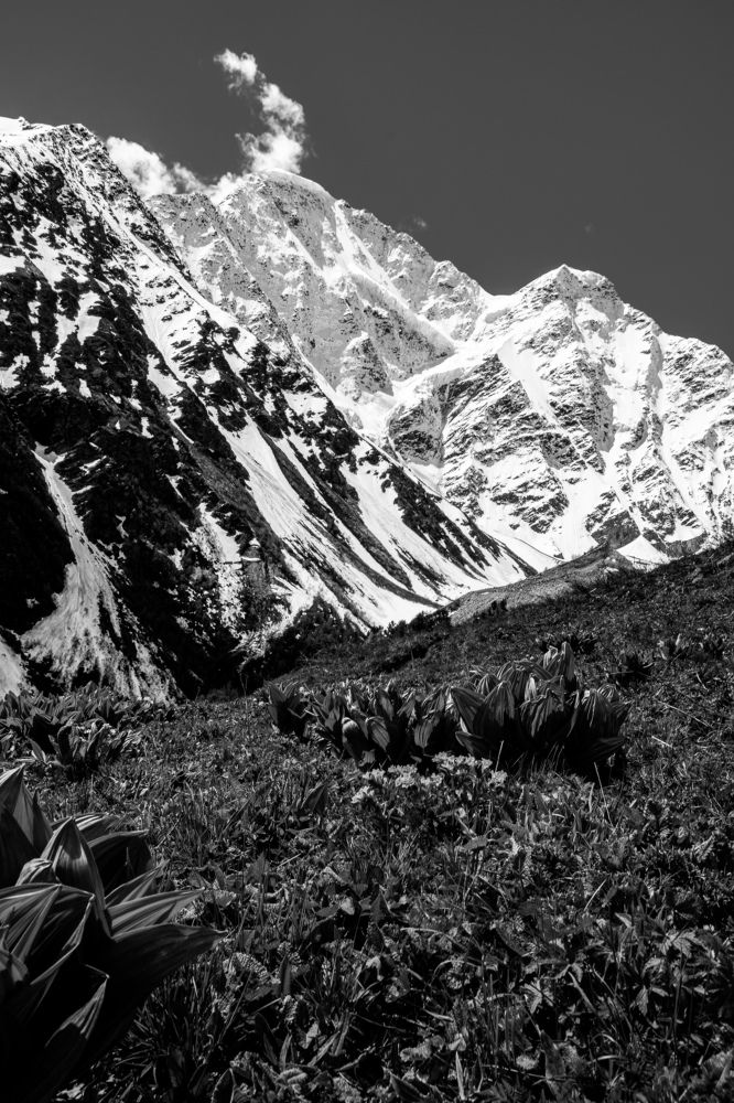 Photograph by Даниил Пузаков