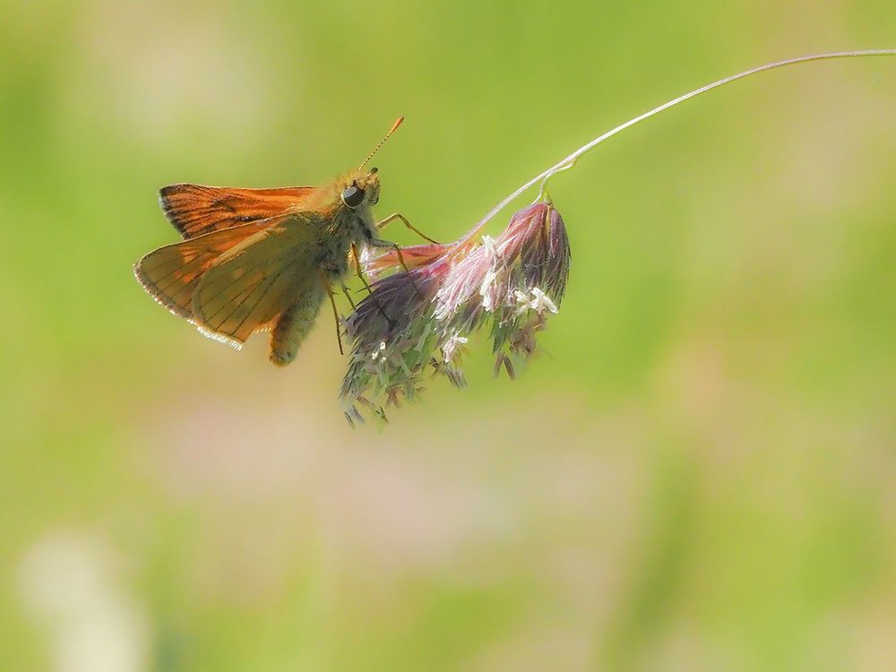 Photograph by Духанин Сергей