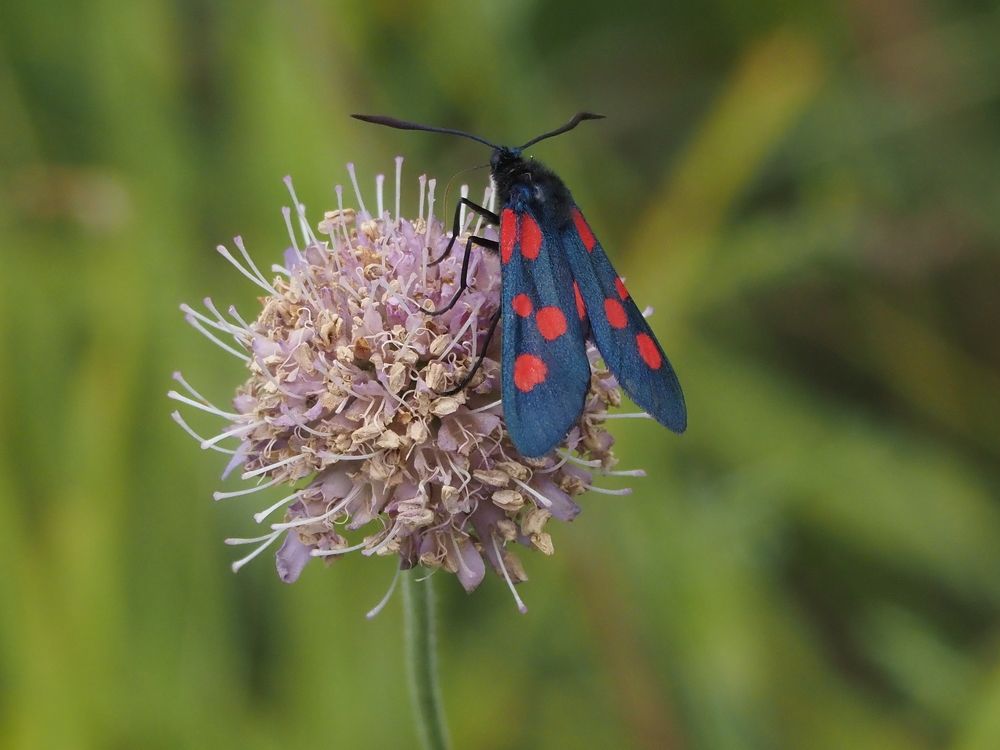 Photograph by Духанин Сергей