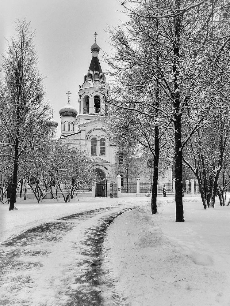 Photograph by Елена Силантьева