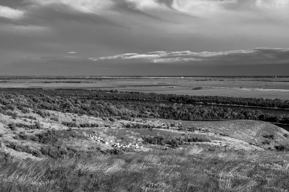 Photograph by Олег Алексеев