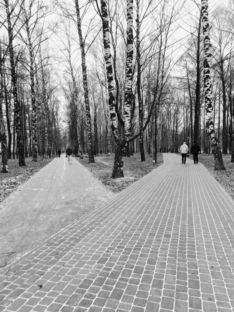 Фотография автора Татьяна Антонова