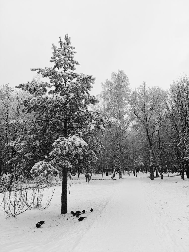 Фотография автора Татьяна Антонова