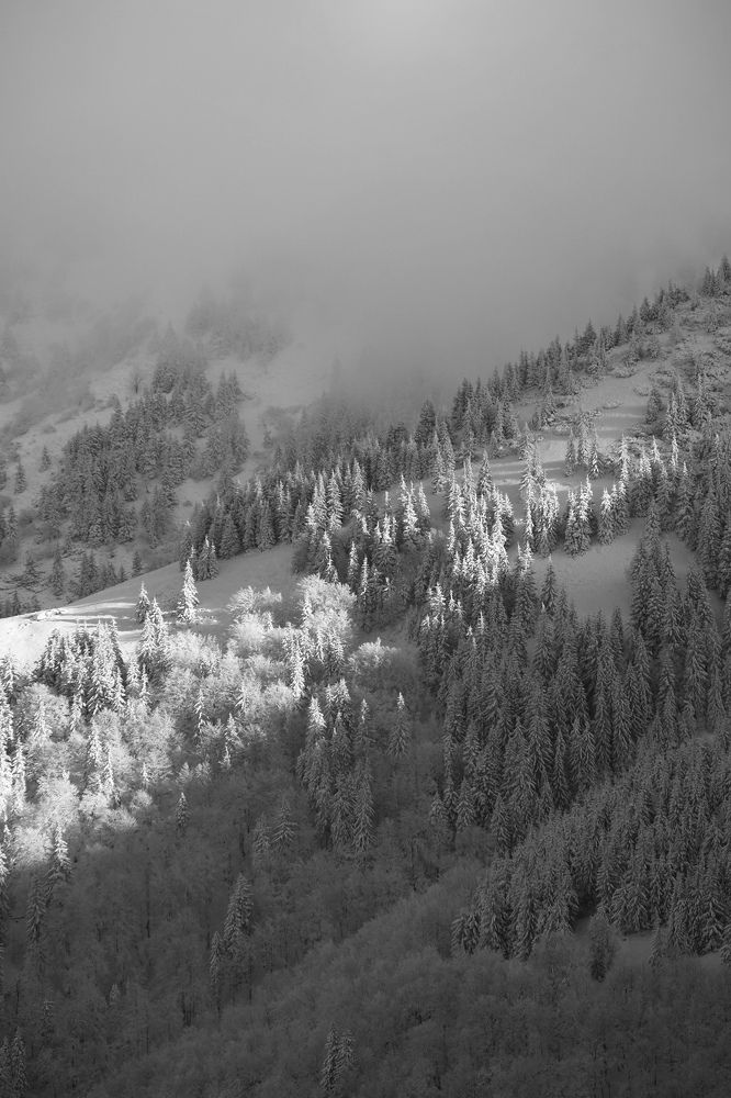 Photograph by Григоренко Семён