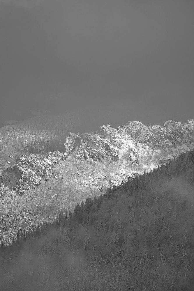 Photograph by Григоренко Семён